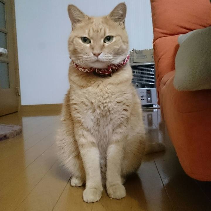 7d7b663e 9a2e 49e4 8ca6 5de803b66232