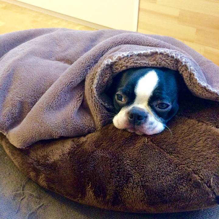 7d7b69db 555b 43f0 a9f6 7a7ca1c3bb9b