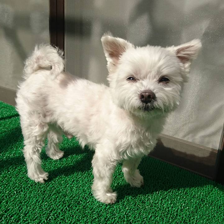 7d7c024e 4d0a 478c b454 4a1ae04044ac