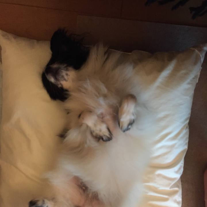 7d7c99d3 ddd9 4696 abe5 16c59a326c2a