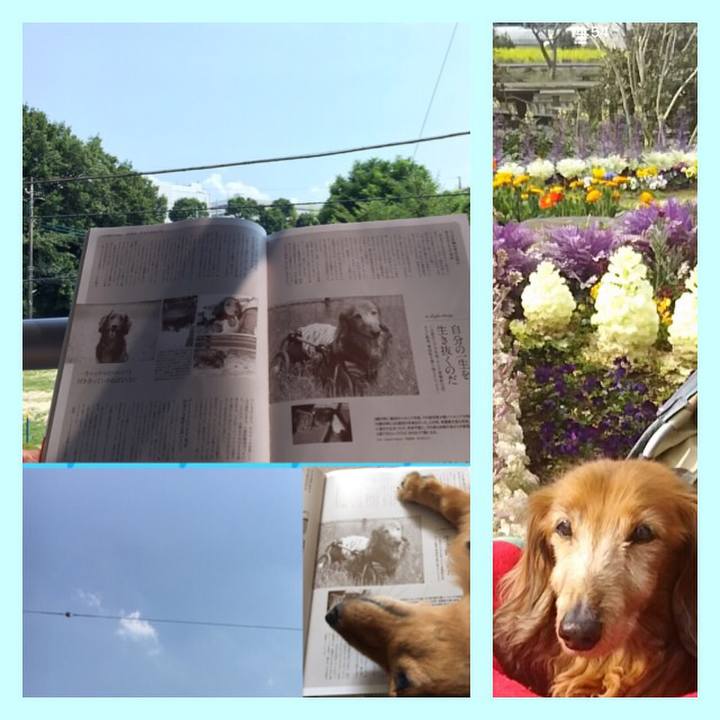 7d7ca8ac 0dd7 4a55 8609 0e23b94df40c