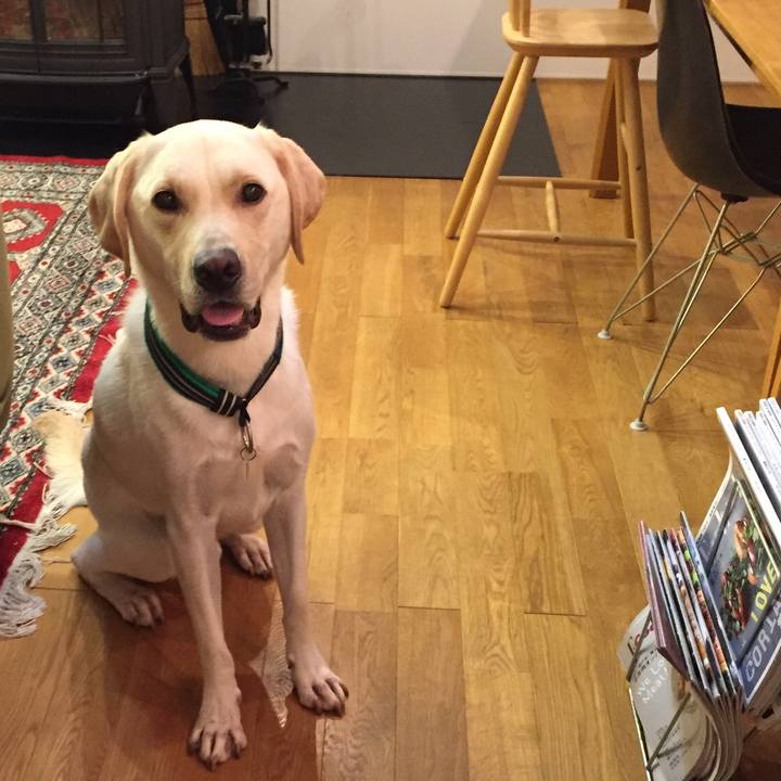 7d7cc85f 135b 4e85 8bfe 91a7a9c80f76