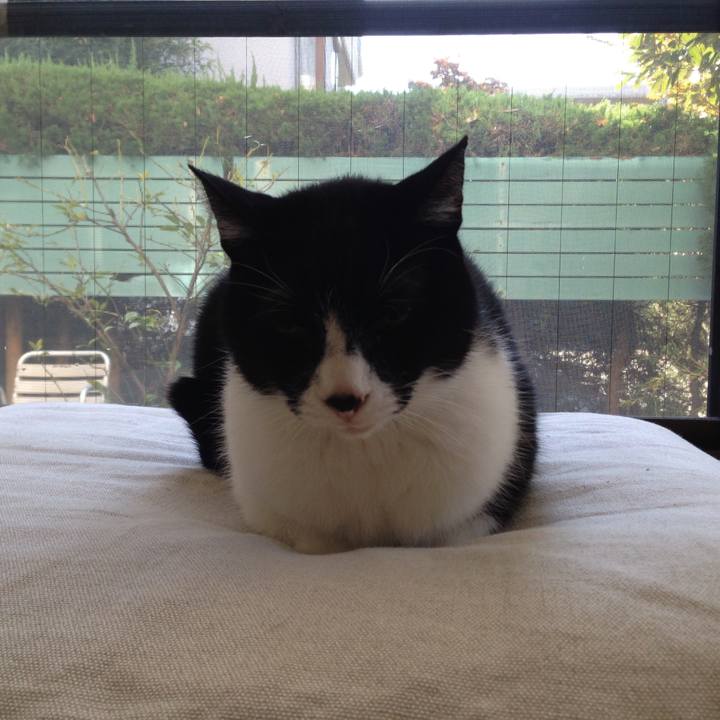 7d7cfaae 8b73 45e2 90fe 8e18d2dfc511