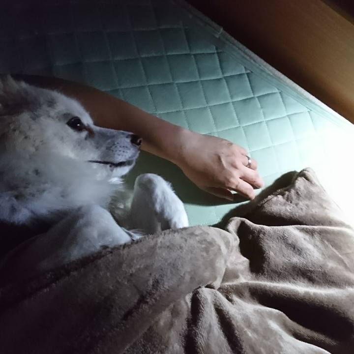 7d7deb8d 1ee3 4981 9854 f1bda2a854b2