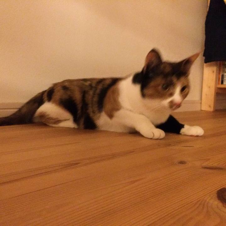 7d7e0023 2d41 4e45 80bb e40a26e6e81a