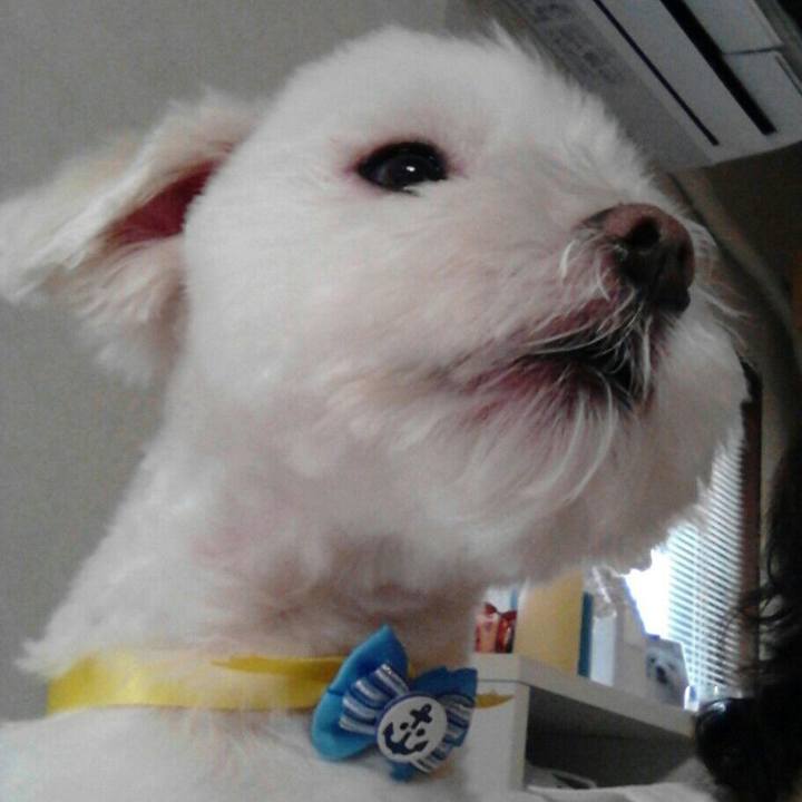 7d7e4b71 3df3 4f3b a9e6 d82ba2152fa9