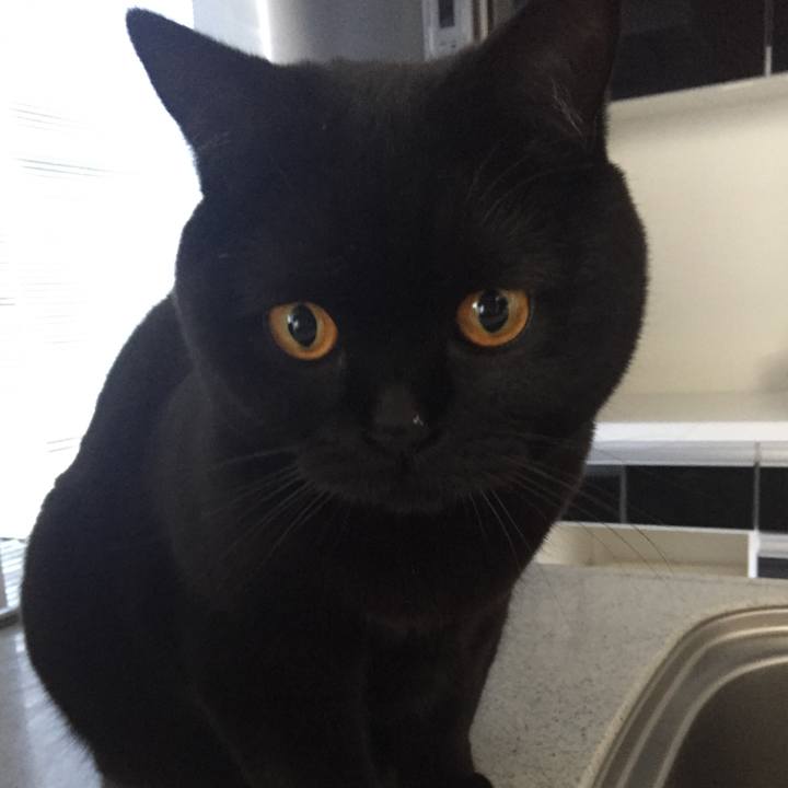 7d7e4dcf 0288 4cb6 b166 d812480ab018