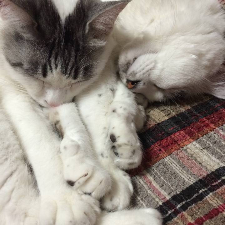 7d7ead65 3943 4ca9 b534 d83879ee5736