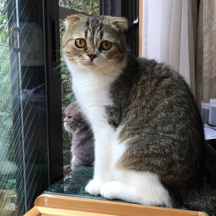 7d7f10e1 1d5a 42bb 98e9 cb504a668b98