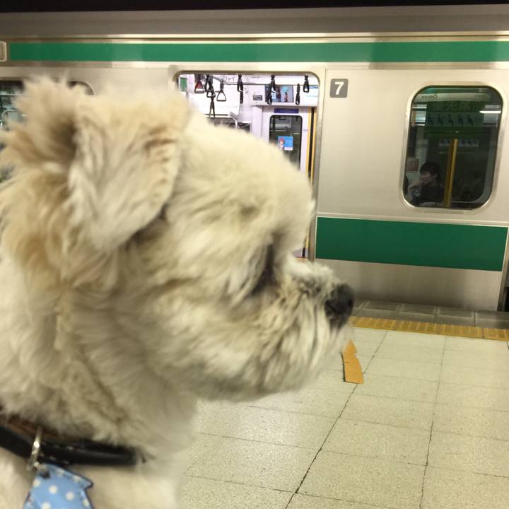 7d7f55a2 37ec 4c2b 8776 92f82fdfa936