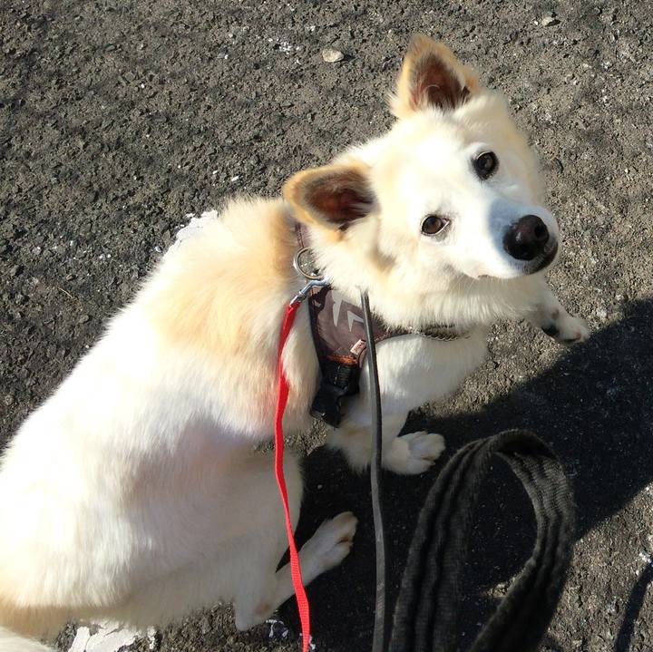 7d7fb222 1d60 4ee9 92dc dc86c53fccef