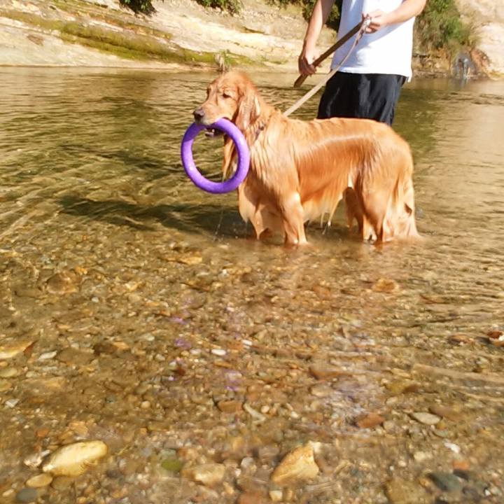 7d7ff1d2 131a 4e9c 8ad2 d451e3af1117