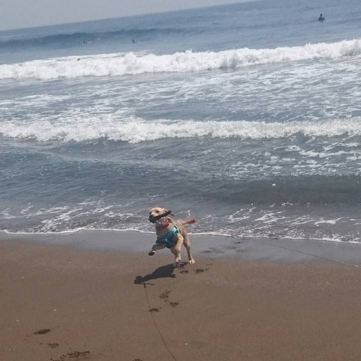 7d7ffda9 2b1a 41cf 8055 384a7f058011