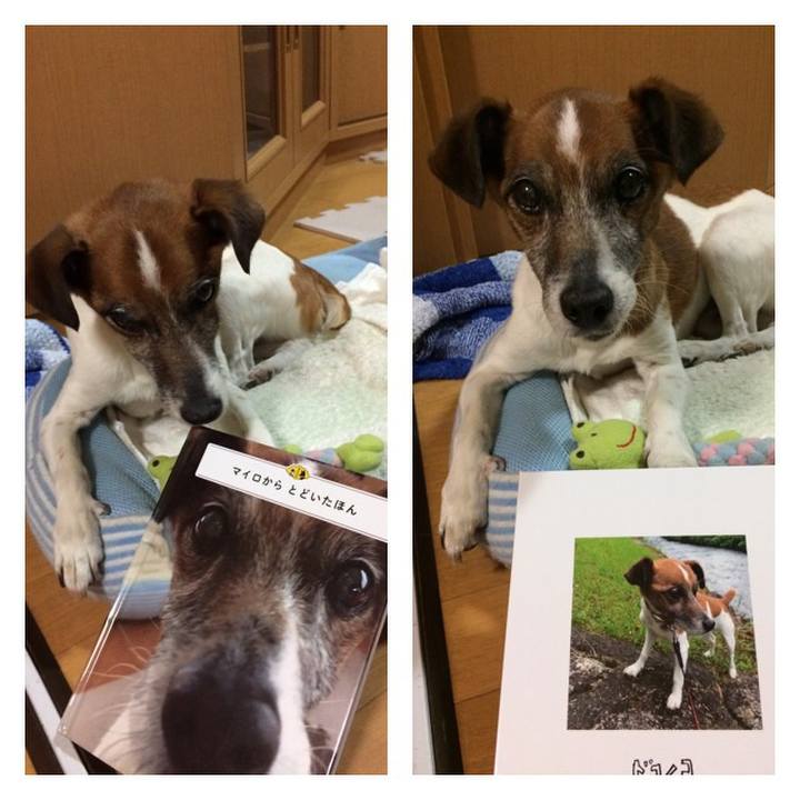 7d8021c3 51f4 4528 9ef9 24dbd434cc4a