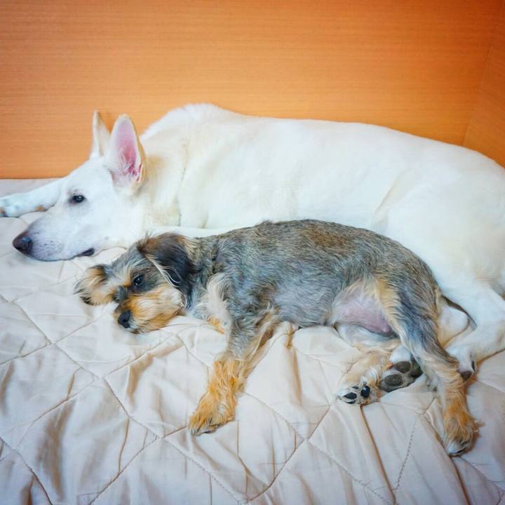 7d80d8ba 4e4b 48da 9e03 cb513ccb9878