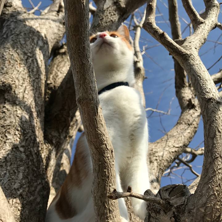 7d8165eb b0c1 493a 9f40 e3a0fb6c4e6e