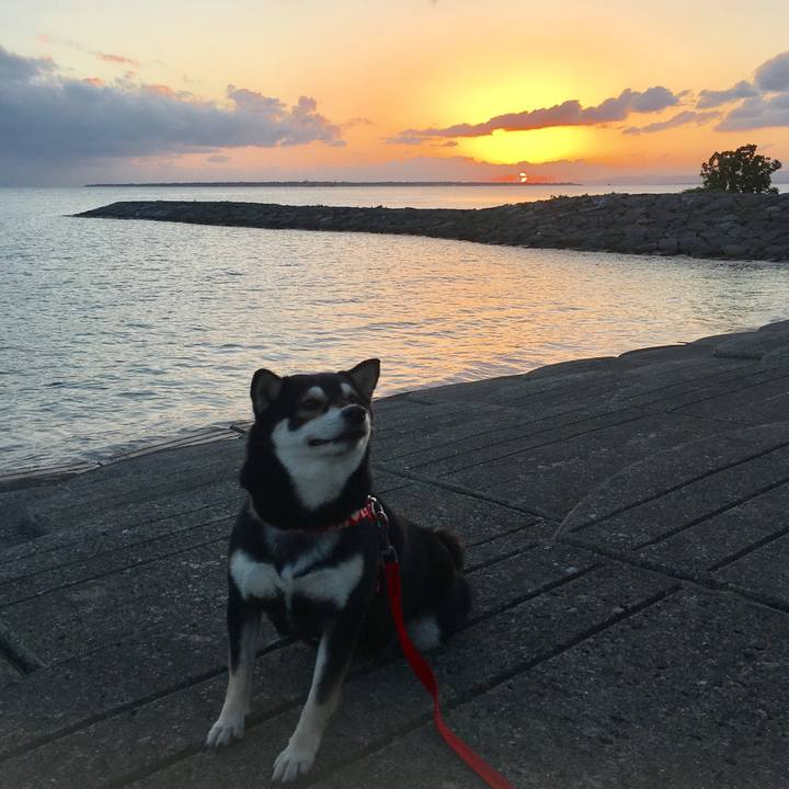 7d81a4d5 4792 41b2 b9eb dc4e504083d9