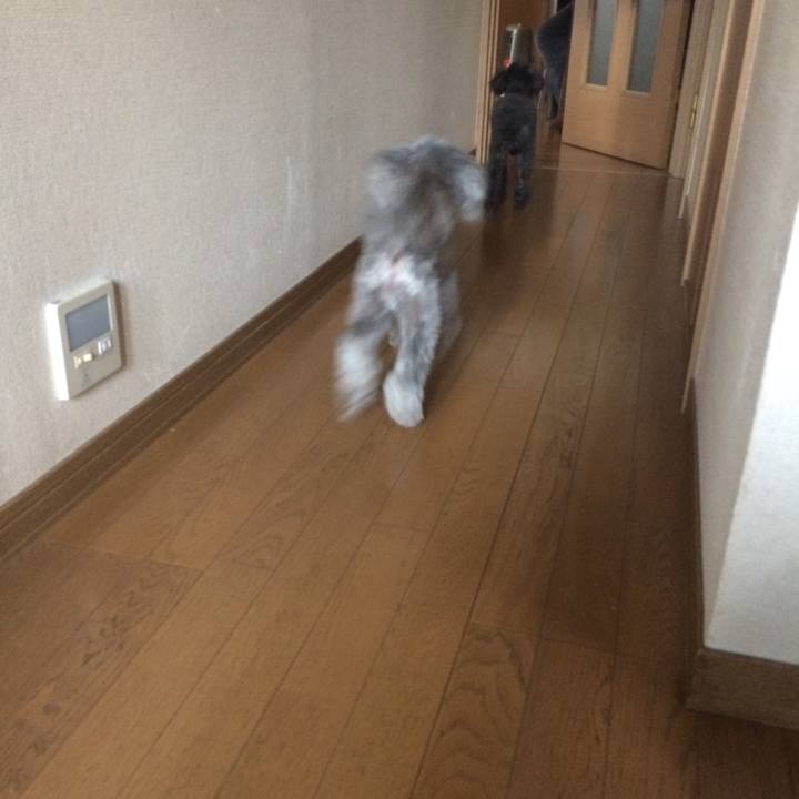 7d8320cf bfc7 48c8 bb0a 85f84ed7b6b7