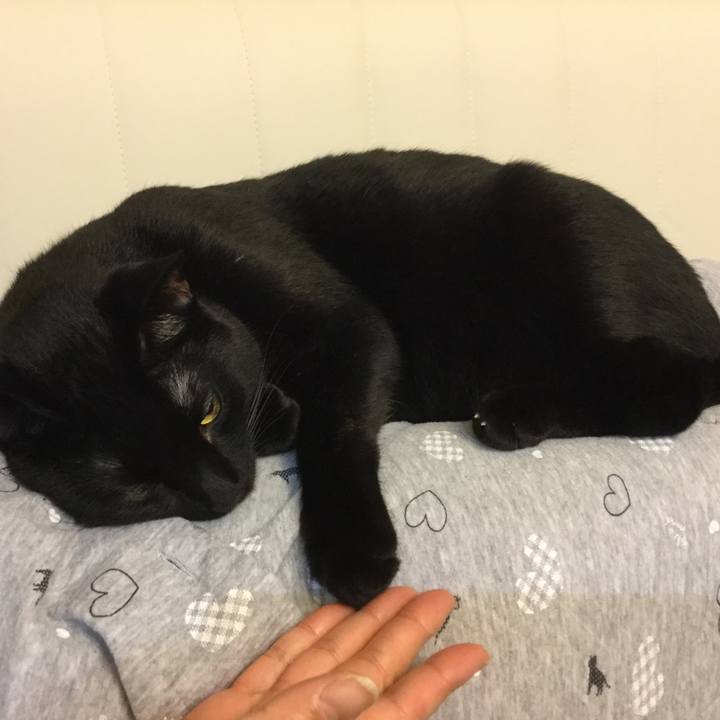 7d83a38a 6479 4319 897d 13a7ac371461