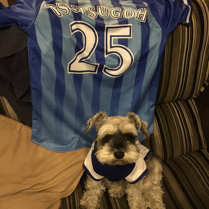 7d842c44 4752 4e3f 8d83 942ff151517b