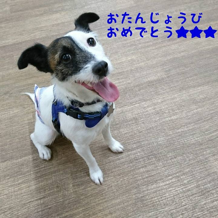 7d84b1ad b5d8 4ddb a20a a55247affaa7