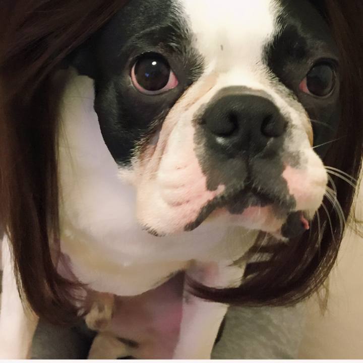 7d86722e bbe6 46e1 8f35 3fd2bfa9c650