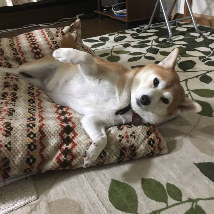 7d867749 f149 48b0 8495 36fdea4cd9d1