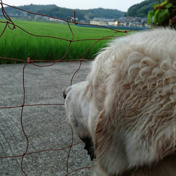 7d869322 b04a 4705 a6b5 d83fe670c12a