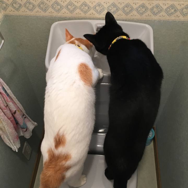 7d86e3cd 4434 4059 ad5d 1366b7b7d5a3