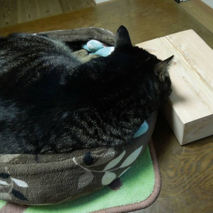 7d871ea9 8702 4408 b731 e1fbae162b2e