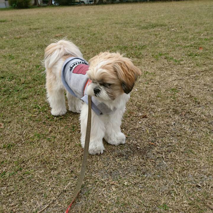 7d87a25f 75c3 4213 93ba e4440331b437