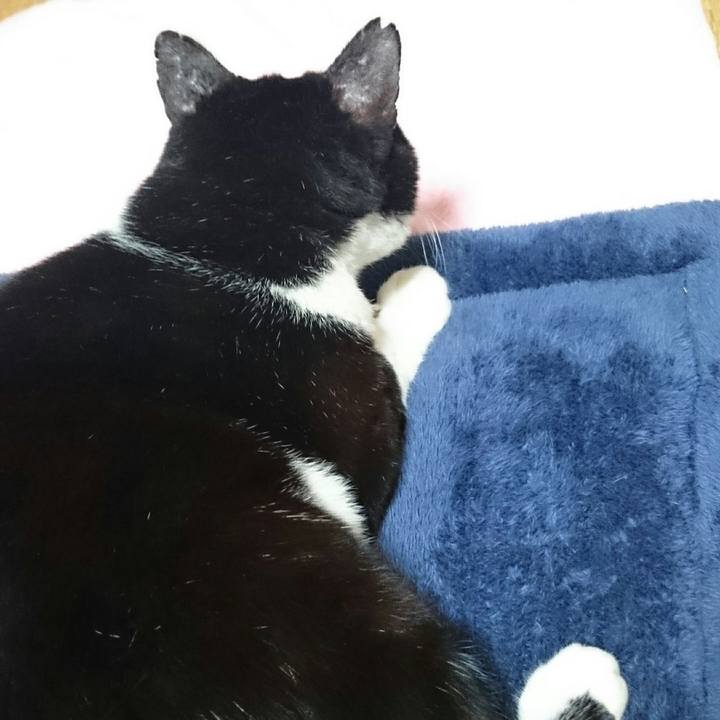 7d87bf55 808a 4313 be4d c1d23fcc3306