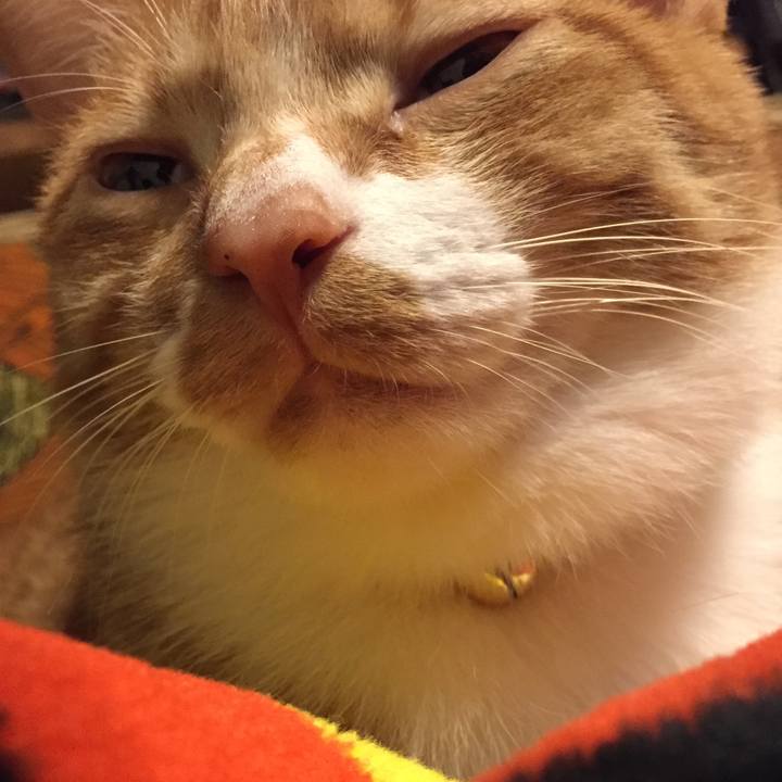 7d87c16d d75a 4f01 bb4d c1e6da86a670