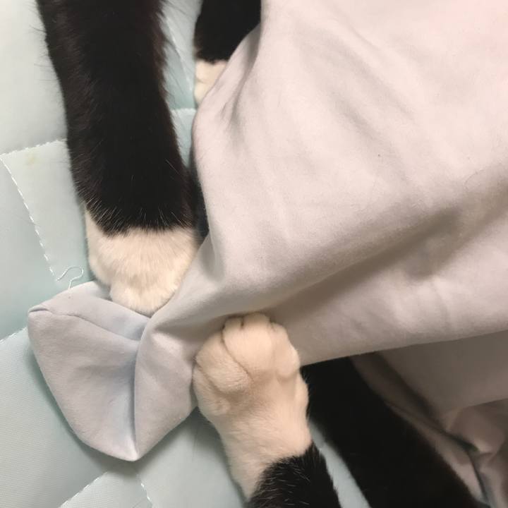 7d87f144 6c16 4567 878a be92ca5ad8b6