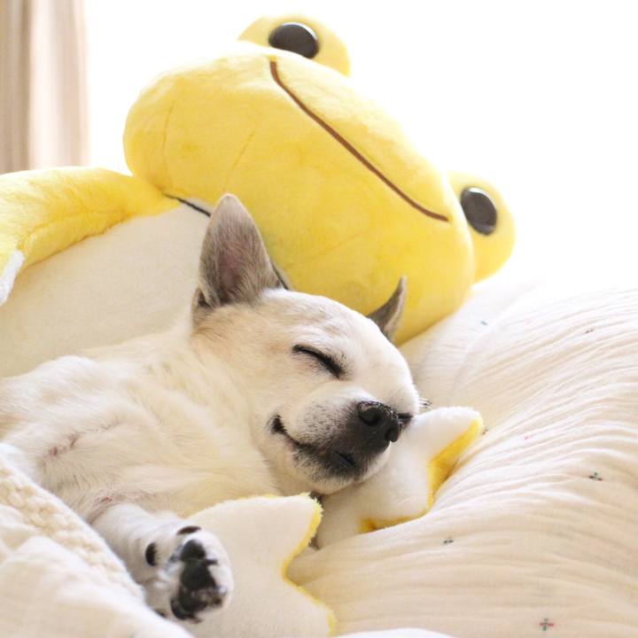 7d8816a3 d18b 43dc 8865 48b0aa67670c