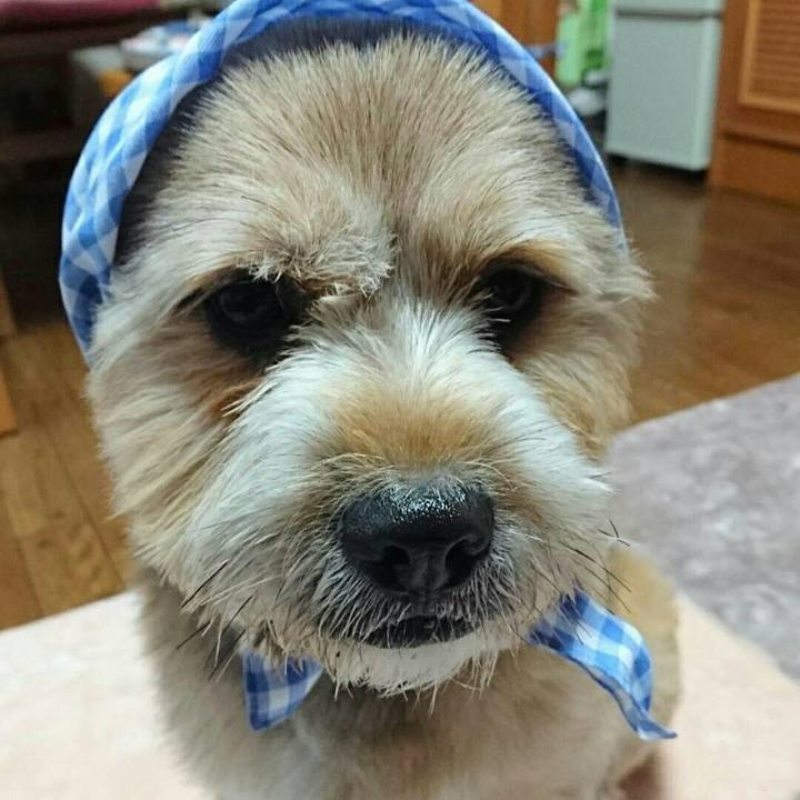 7d887150 4730 4600 a8da 3b81693de62a