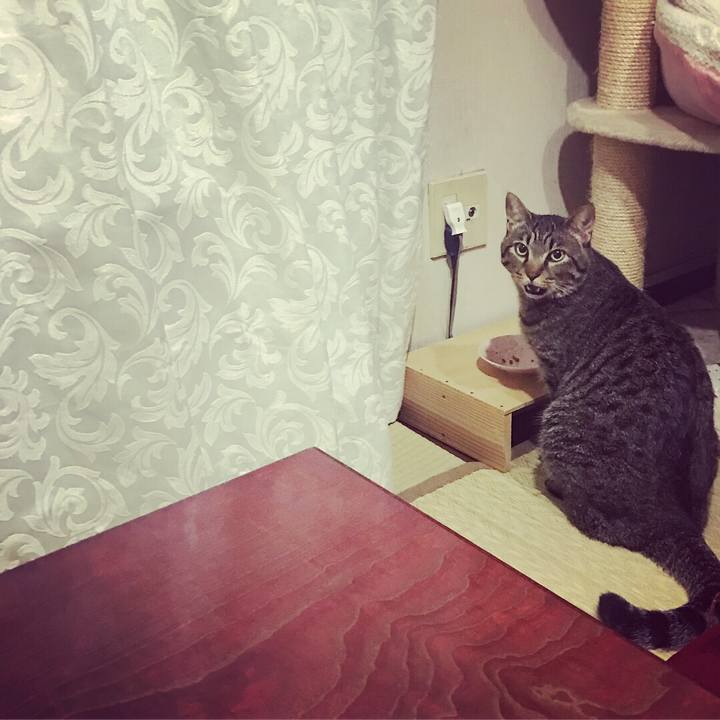 7d88df7a 789c 44b3 b19b 7b84fe2e8835