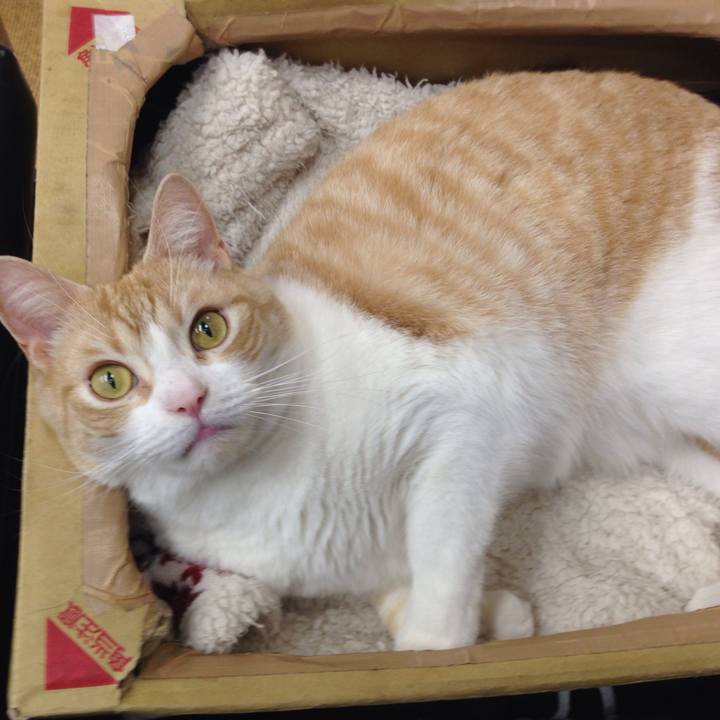 7d88f396 a4c5 4c67 bb95 71bc9ce9254e