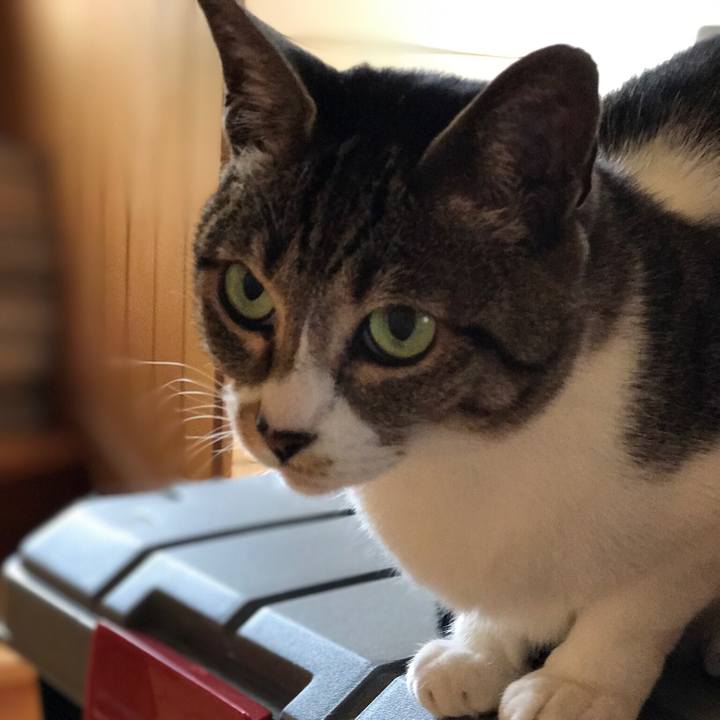 7d890462 14db 4094 8cb3 47fe98139cd3