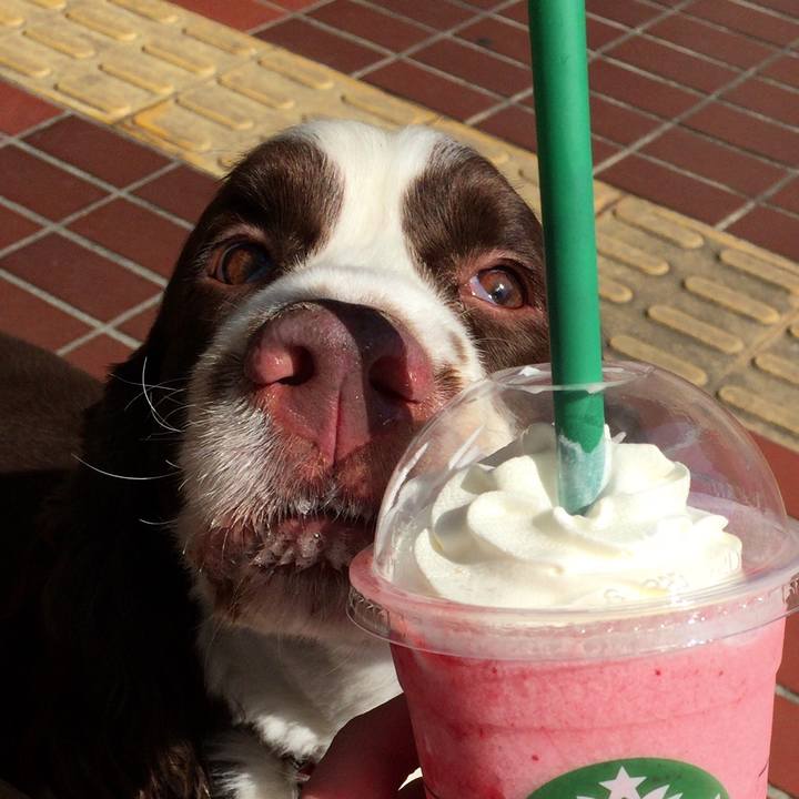 7d8a5660 b4c8 4fcf 9174 80d560bf11ac