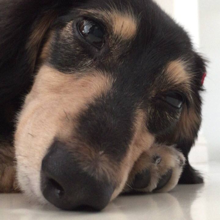 7d8a7775 ec44 4cc3 b130 3ad291270145