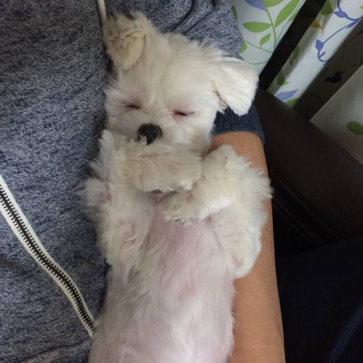 7d8b2a74 a796 4414 b423 53317b2e8caa