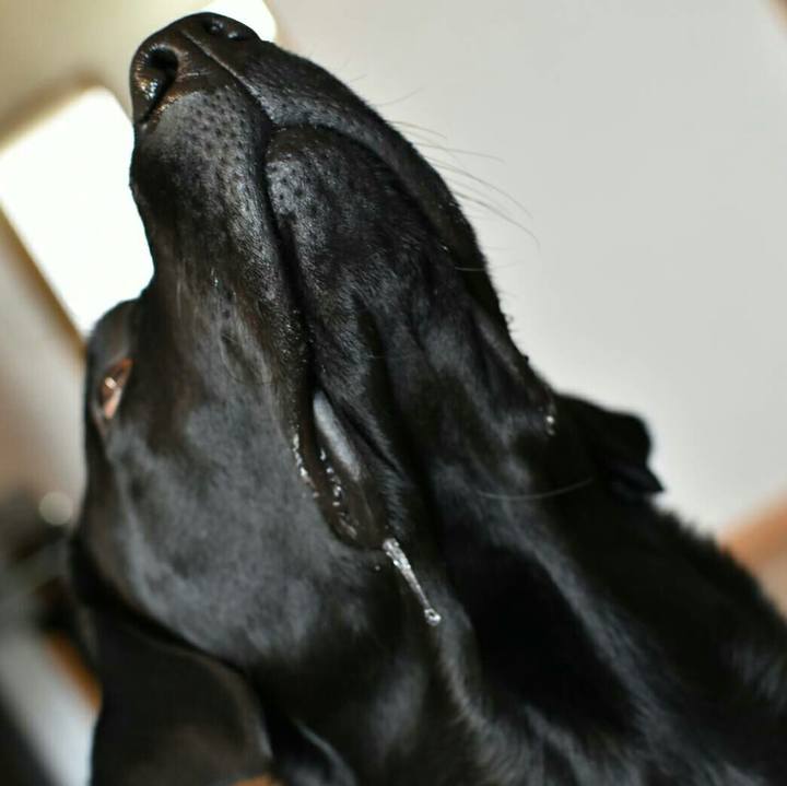 7d8b65b4 21cf 41b7 b787 bac78374c3fa