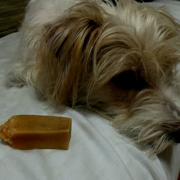 7d8b69cd cb43 4c53 a439 ed77e60a3678