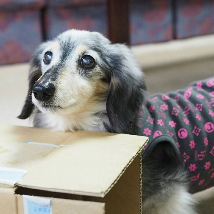 7d8b745c a2db 426e a398 e5f48c1a6ab0