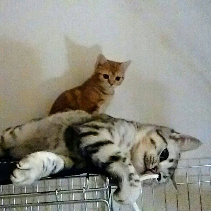 7d8b7b6b be7a 48bb b7c7 fa745dd9c079