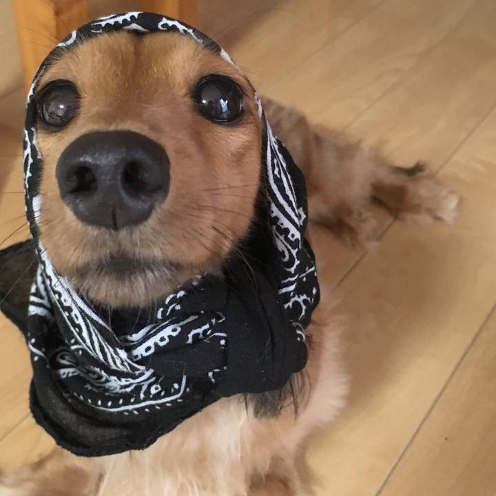 7d8ba1b8 4233 4e4f a580 7864cf244d05