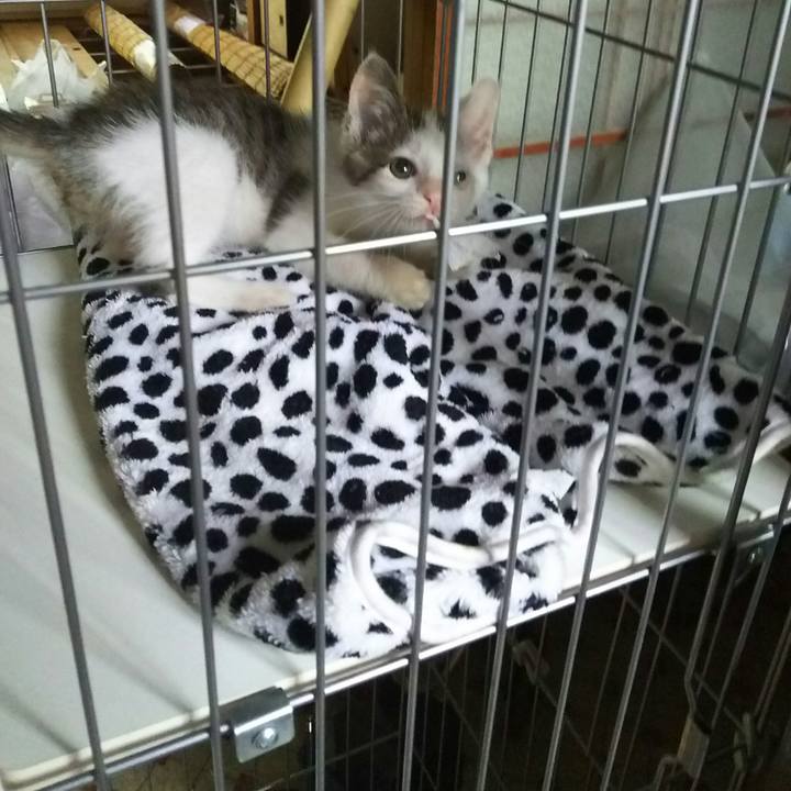 7d8bcca2 bcba 4dd0 8df9 2d7a82760a98