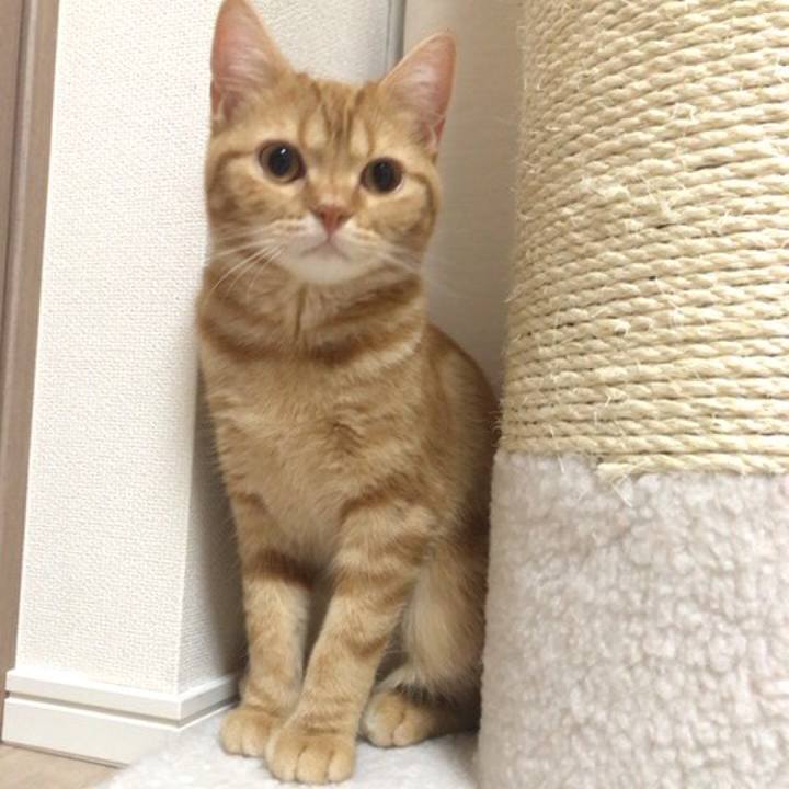 7d8c352e 3acc 40fc 9a35 fe37e9faab5d