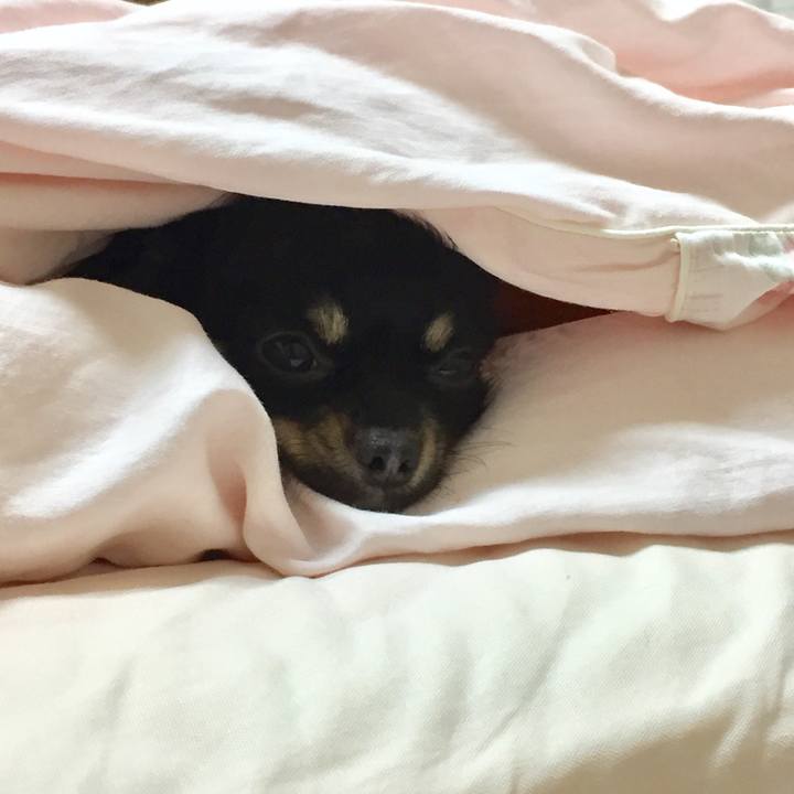 7d8c9cf0 79e8 4f69 ac5e 4ea81b277bd9